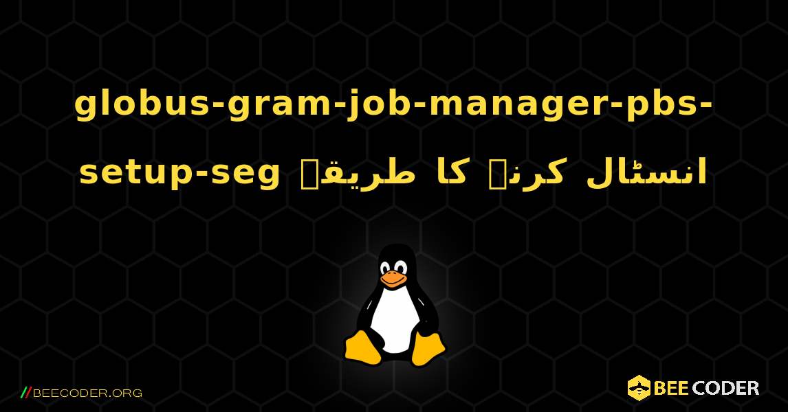 globus-gram-job-manager-pbs-setup-seg  انسٹال کرنے کا طریقہ. Linux