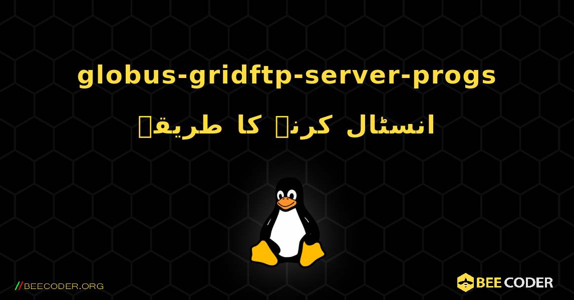 globus-gridftp-server-progs  انسٹال کرنے کا طریقہ. Linux