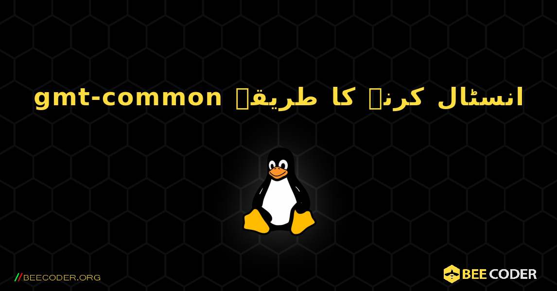 gmt-common  انسٹال کرنے کا طریقہ. Linux