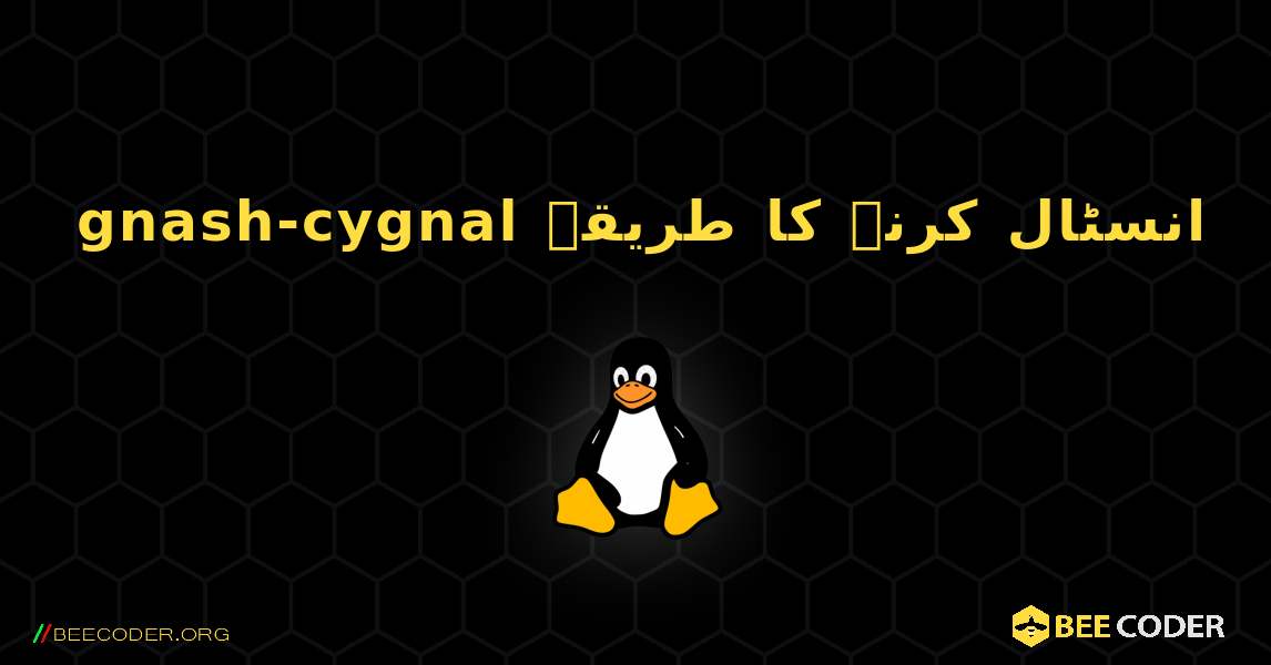 gnash-cygnal  انسٹال کرنے کا طریقہ. Linux