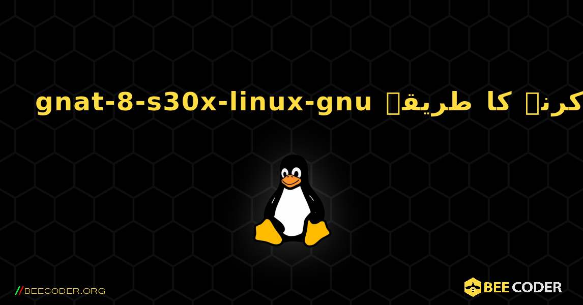 gnat-8-s30x-linux-gnu  انسٹال کرنے کا طریقہ. Linux