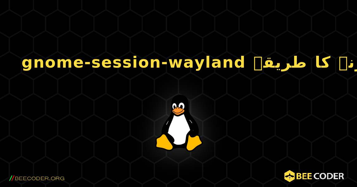 gnome-session-wayland  انسٹال کرنے کا طریقہ. Linux