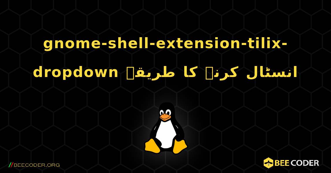gnome-shell-extension-tilix-dropdown  انسٹال کرنے کا طریقہ. Linux