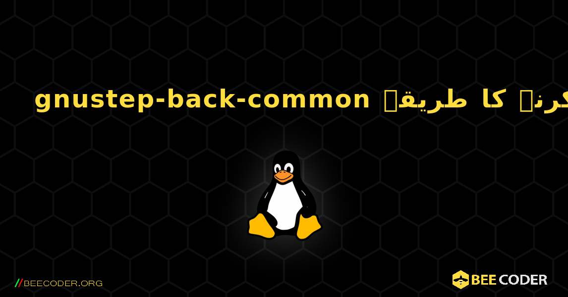 gnustep-back-common  انسٹال کرنے کا طریقہ. Linux