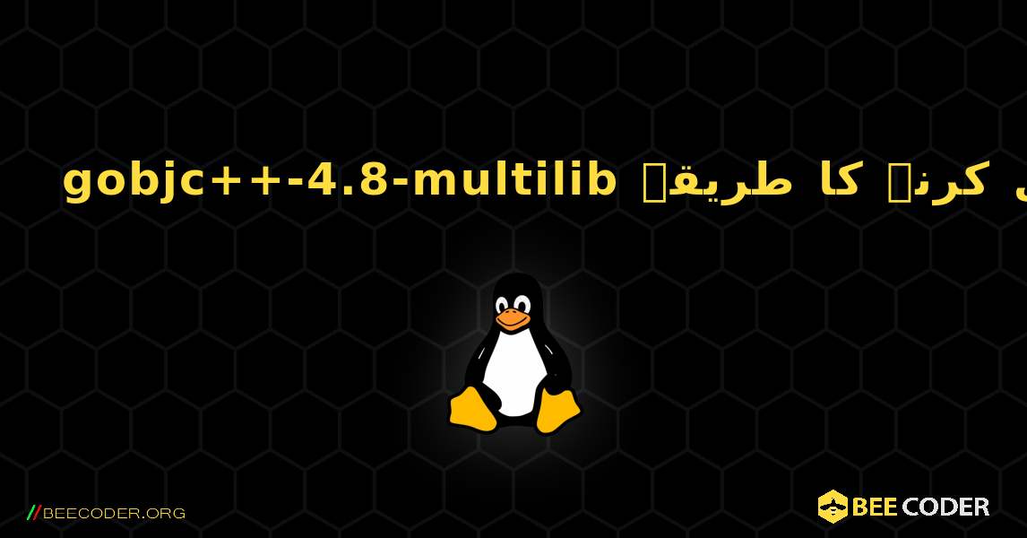 gobjc++-4.8-multilib  انسٹال کرنے کا طریقہ. Linux