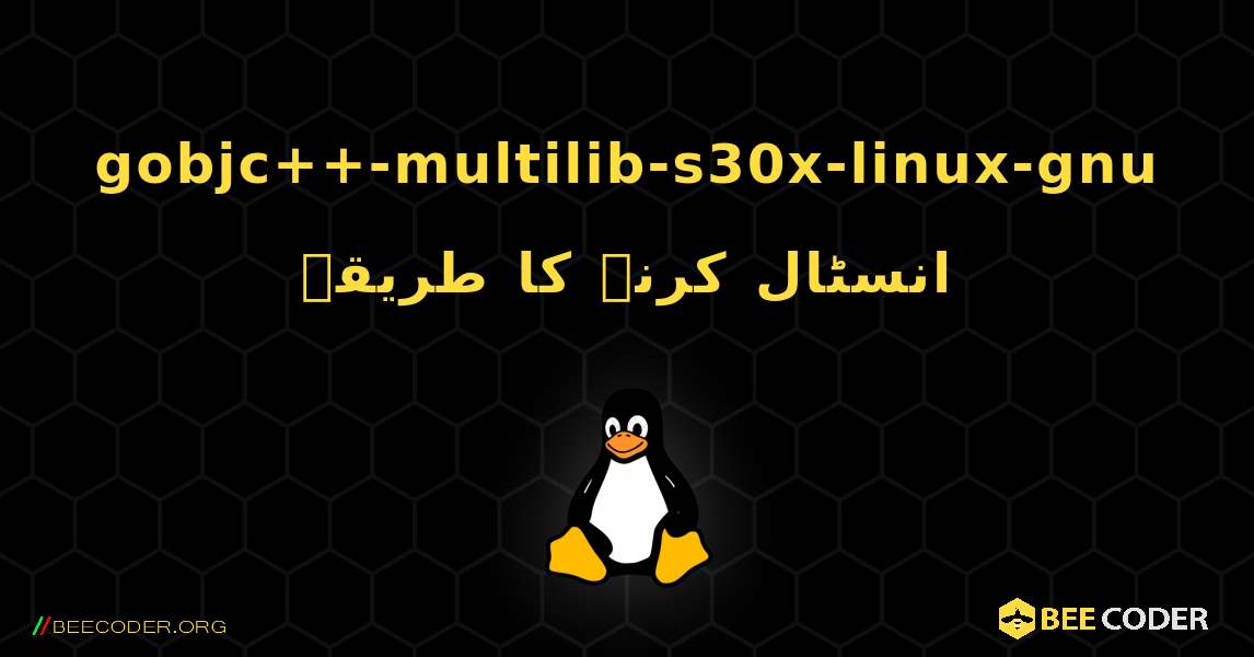 gobjc++-multilib-s30x-linux-gnu  انسٹال کرنے کا طریقہ. Linux