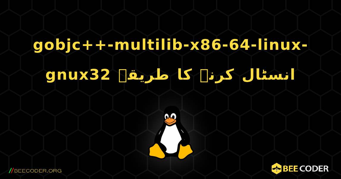 gobjc++-multilib-x86-64-linux-gnux32  انسٹال کرنے کا طریقہ. Linux