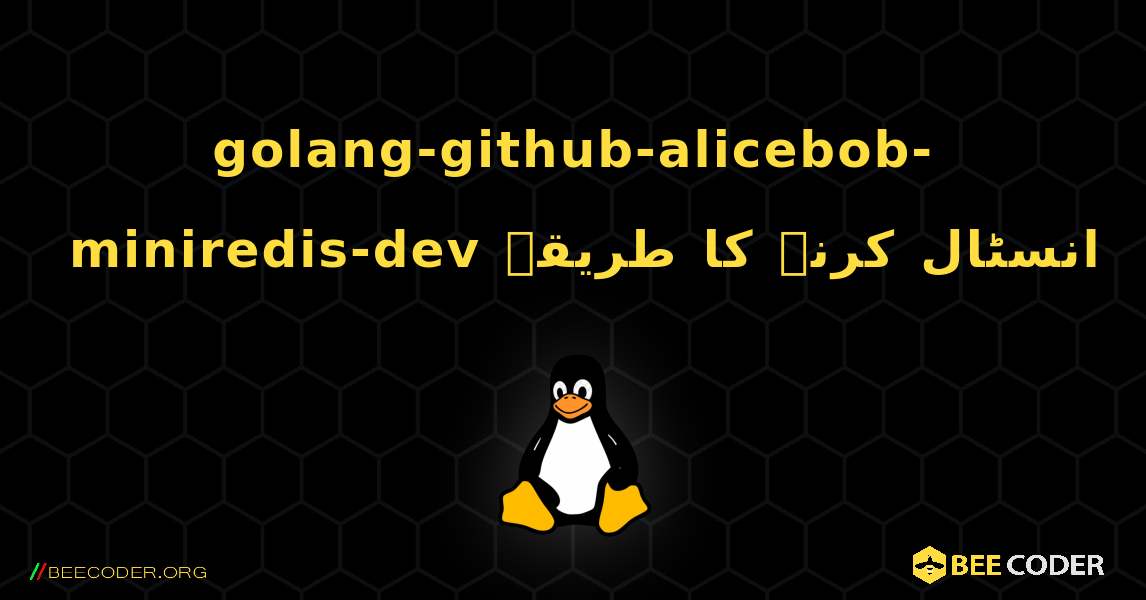 golang-github-alicebob-miniredis-dev  انسٹال کرنے کا طریقہ. Linux