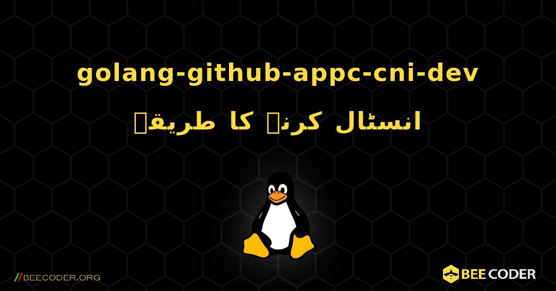 golang-github-appc-cni-dev  انسٹال کرنے کا طریقہ. Linux