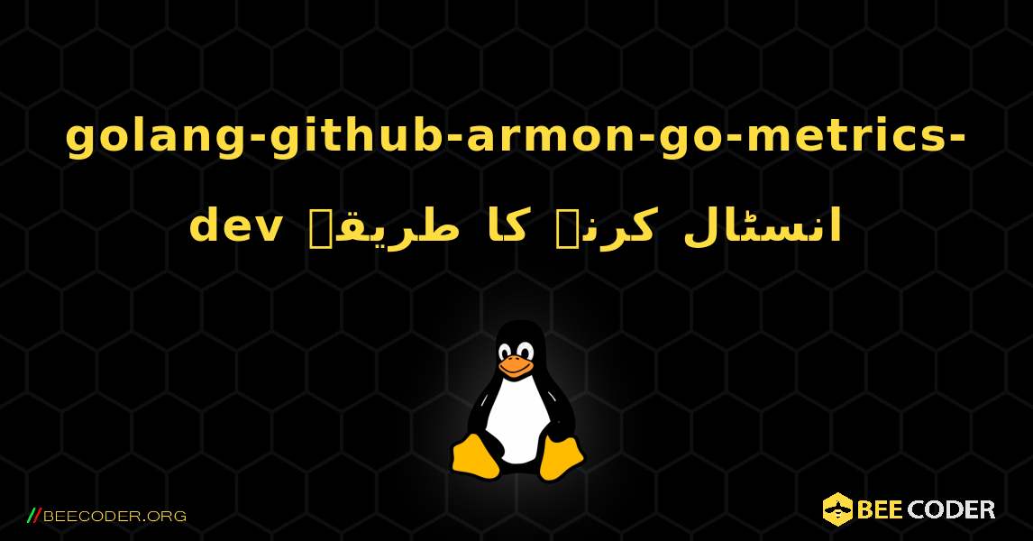 golang-github-armon-go-metrics-dev  انسٹال کرنے کا طریقہ. Linux