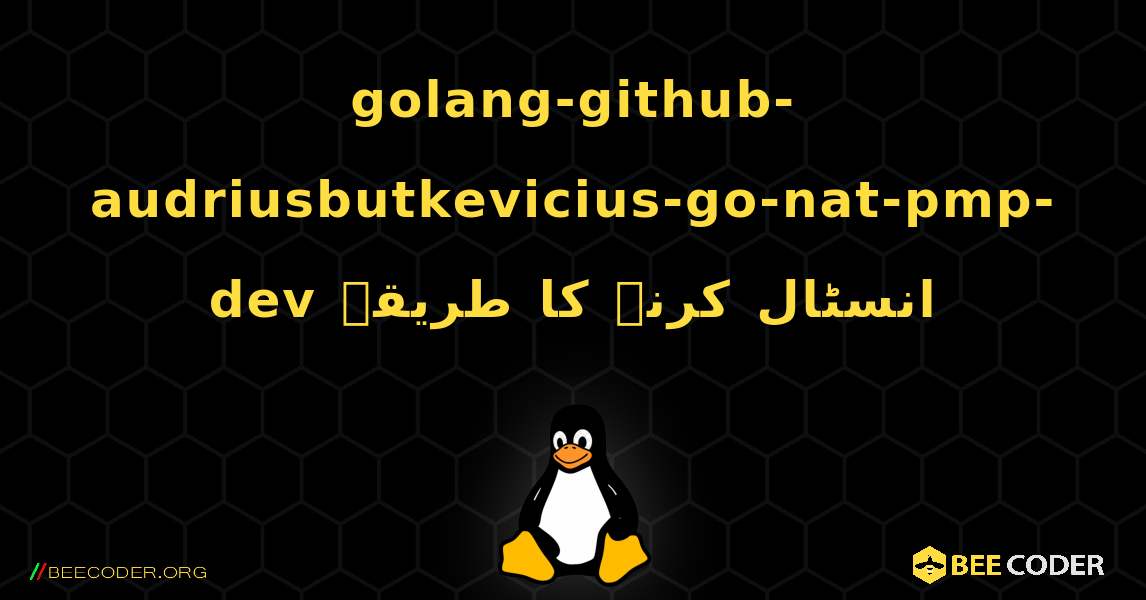golang-github-audriusbutkevicius-go-nat-pmp-dev  انسٹال کرنے کا طریقہ. Linux