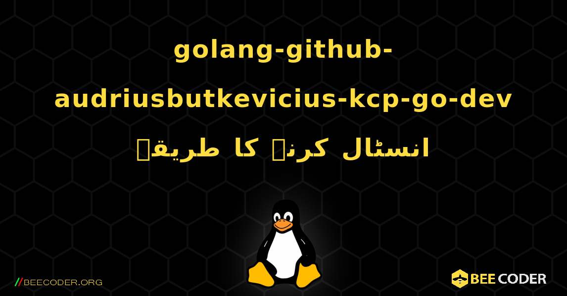 golang-github-audriusbutkevicius-kcp-go-dev  انسٹال کرنے کا طریقہ. Linux