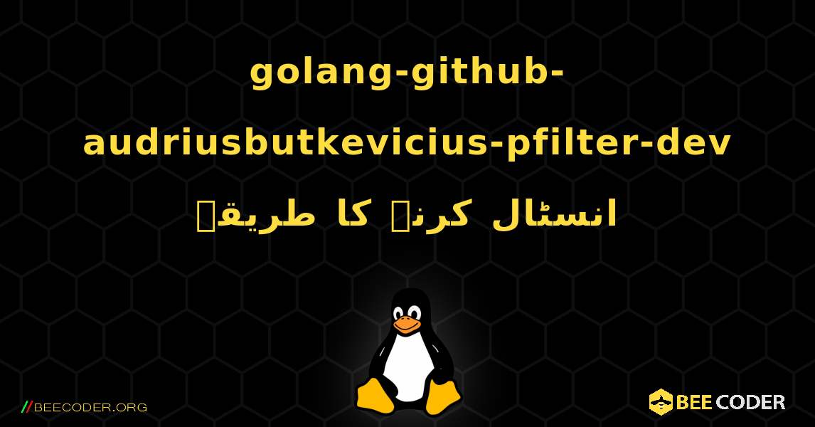 golang-github-audriusbutkevicius-pfilter-dev  انسٹال کرنے کا طریقہ. Linux