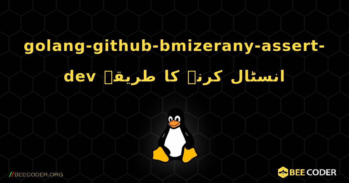 golang-github-bmizerany-assert-dev  انسٹال کرنے کا طریقہ. Linux