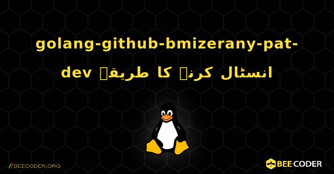 golang-github-bmizerany-pat-dev  انسٹال کرنے کا طریقہ. Linux