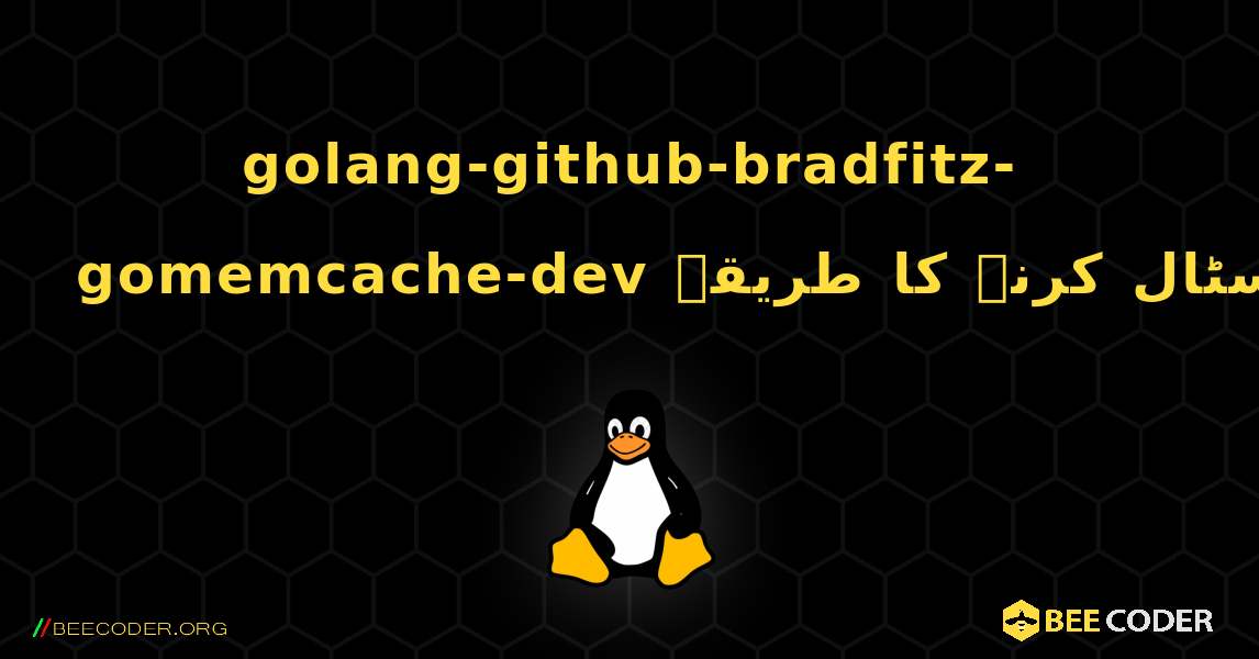 golang-github-bradfitz-gomemcache-dev  انسٹال کرنے کا طریقہ. Linux