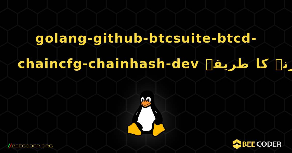 golang-github-btcsuite-btcd-chaincfg-chainhash-dev  انسٹال کرنے کا طریقہ. Linux