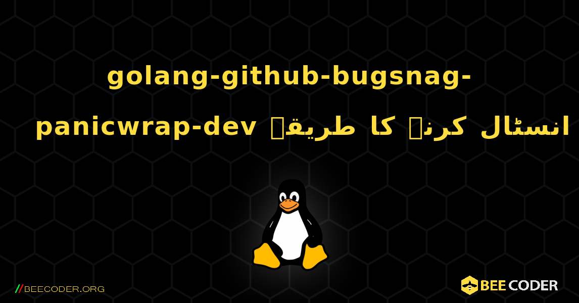 golang-github-bugsnag-panicwrap-dev  انسٹال کرنے کا طریقہ. Linux