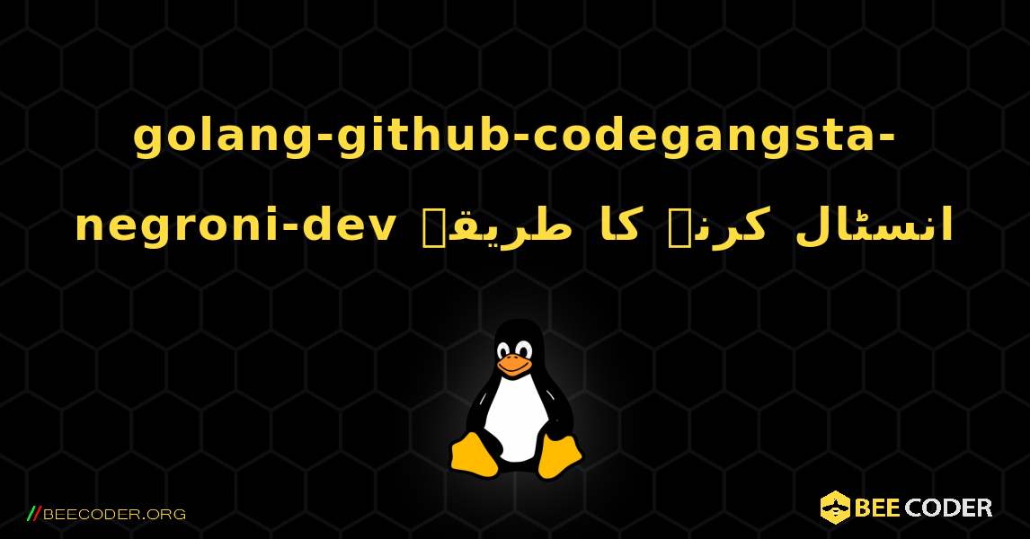 golang-github-codegangsta-negroni-dev  انسٹال کرنے کا طریقہ. Linux