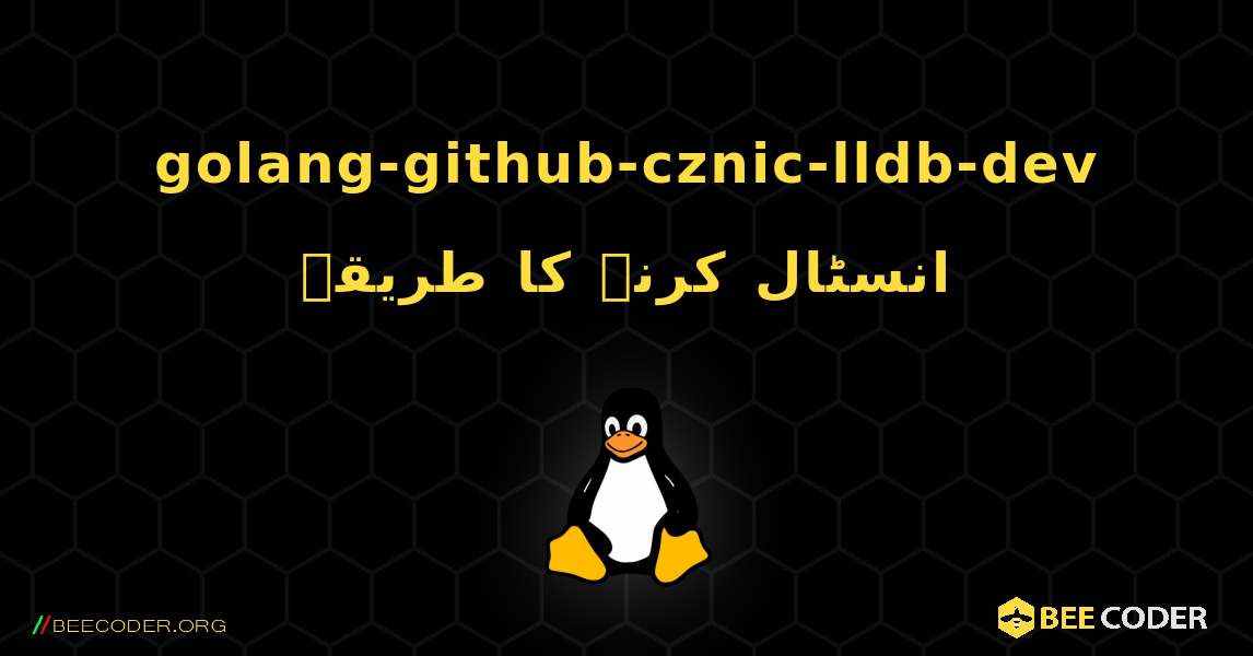 golang-github-cznic-lldb-dev  انسٹال کرنے کا طریقہ. Linux