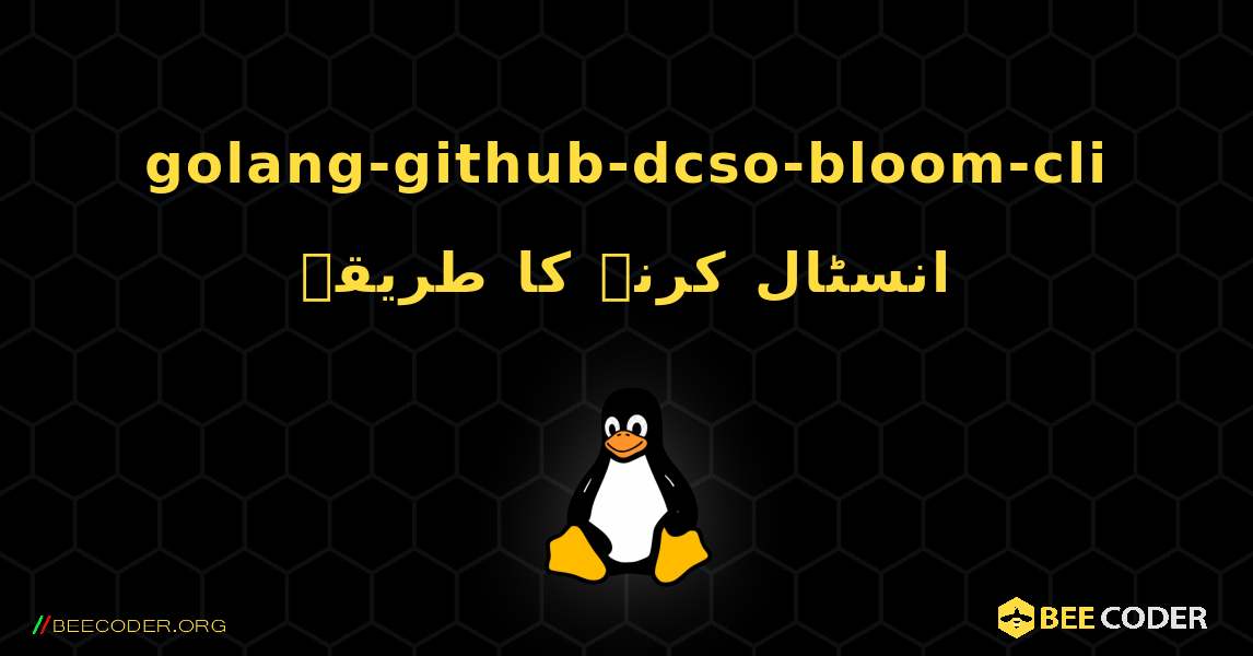 golang-github-dcso-bloom-cli  انسٹال کرنے کا طریقہ. Linux