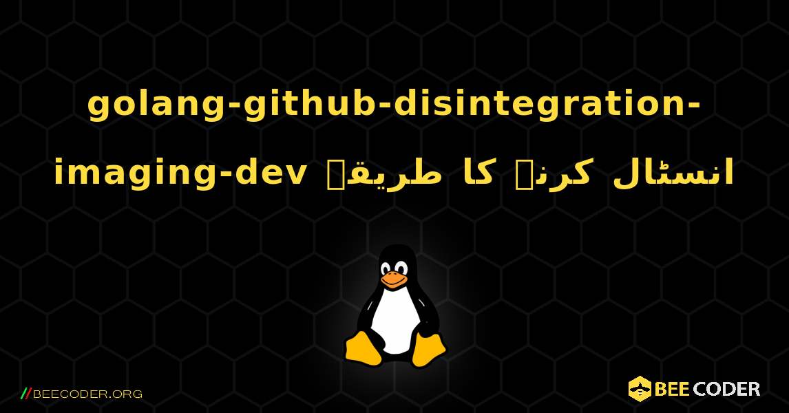 golang-github-disintegration-imaging-dev  انسٹال کرنے کا طریقہ. Linux
