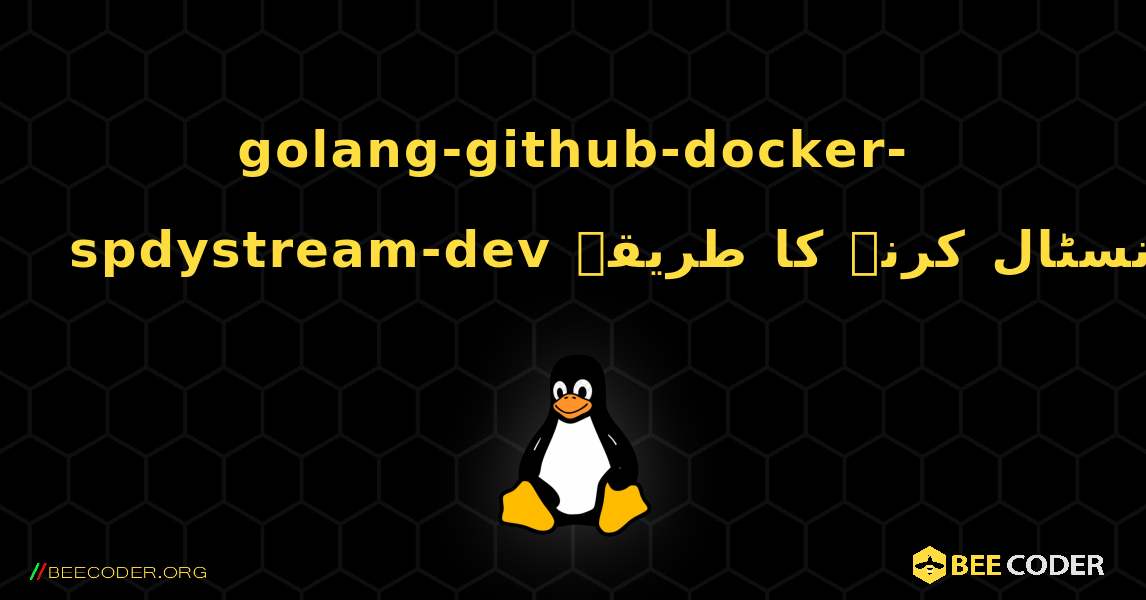 golang-github-docker-spdystream-dev  انسٹال کرنے کا طریقہ. Linux