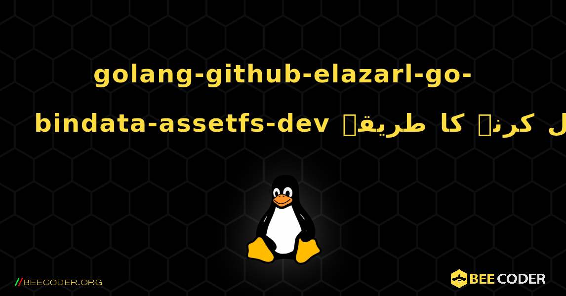 golang-github-elazarl-go-bindata-assetfs-dev  انسٹال کرنے کا طریقہ. Linux