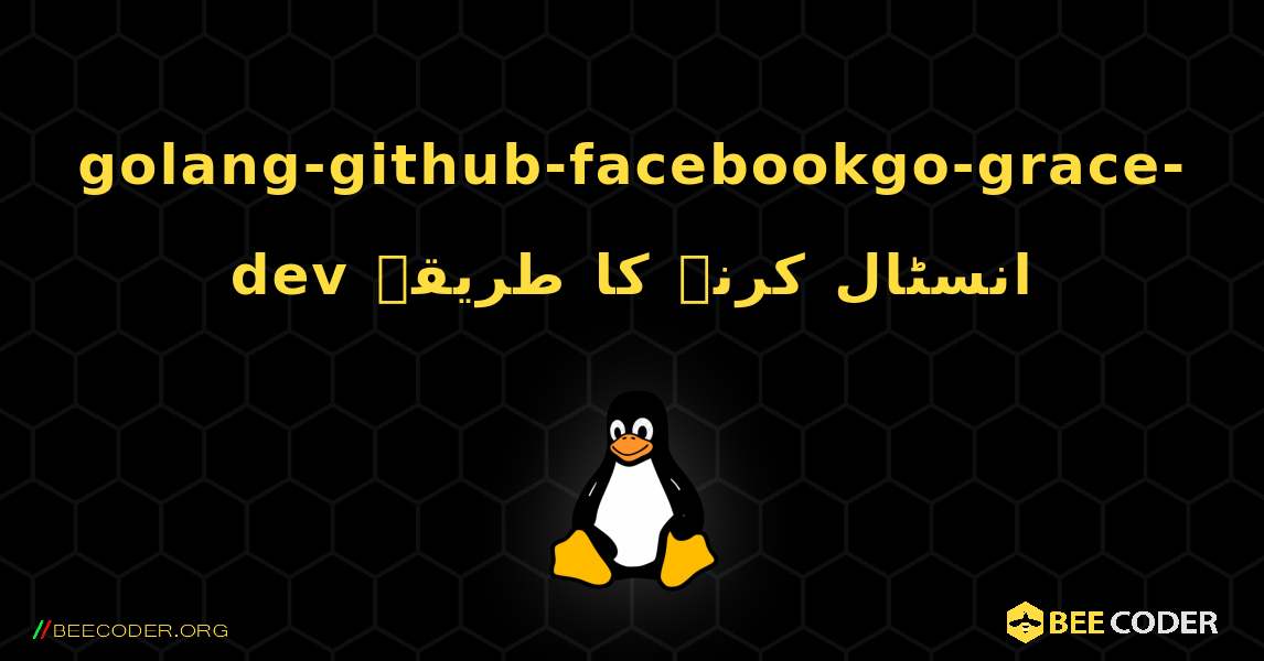golang-github-facebookgo-grace-dev  انسٹال کرنے کا طریقہ. Linux