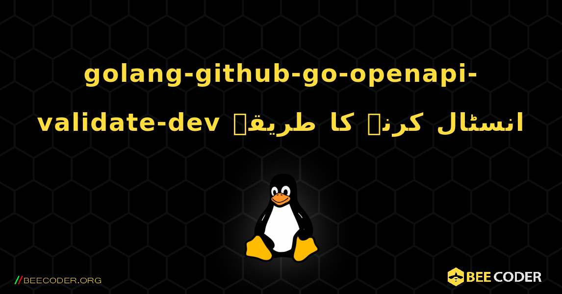 golang-github-go-openapi-validate-dev  انسٹال کرنے کا طریقہ. Linux