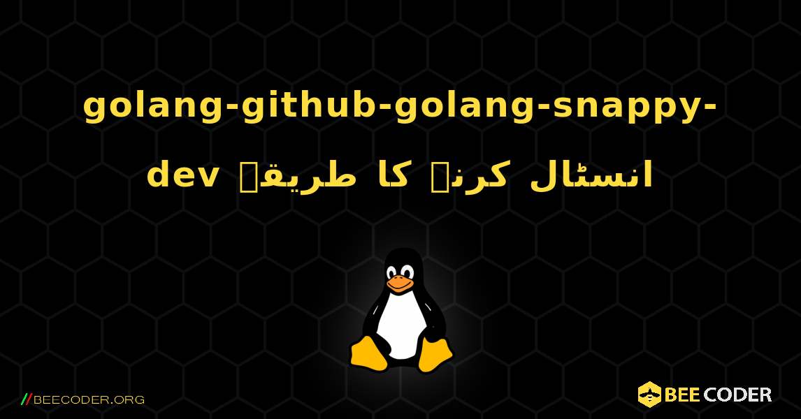 golang-github-golang-snappy-dev  انسٹال کرنے کا طریقہ. Linux