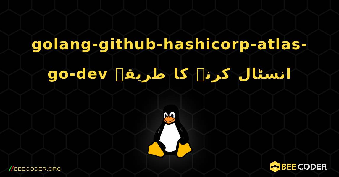 golang-github-hashicorp-atlas-go-dev  انسٹال کرنے کا طریقہ. Linux