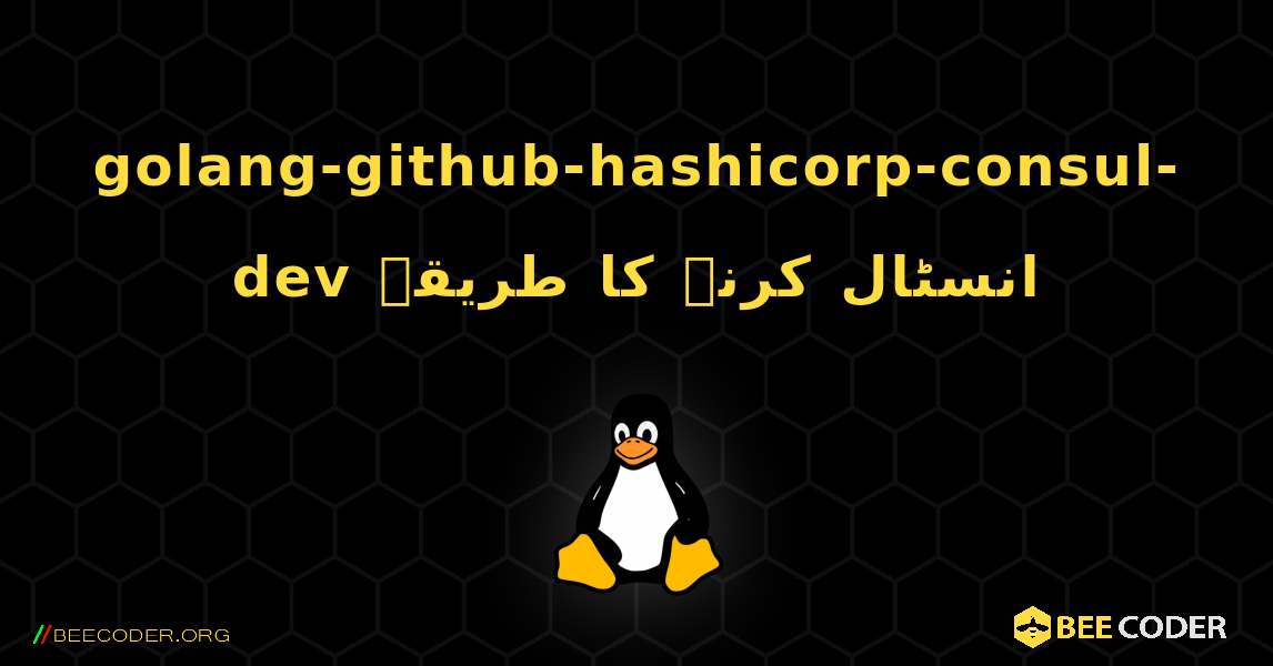 golang-github-hashicorp-consul-dev  انسٹال کرنے کا طریقہ. Linux