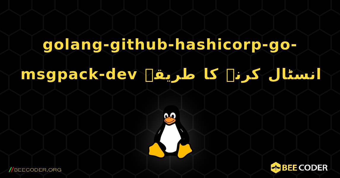 golang-github-hashicorp-go-msgpack-dev  انسٹال کرنے کا طریقہ. Linux