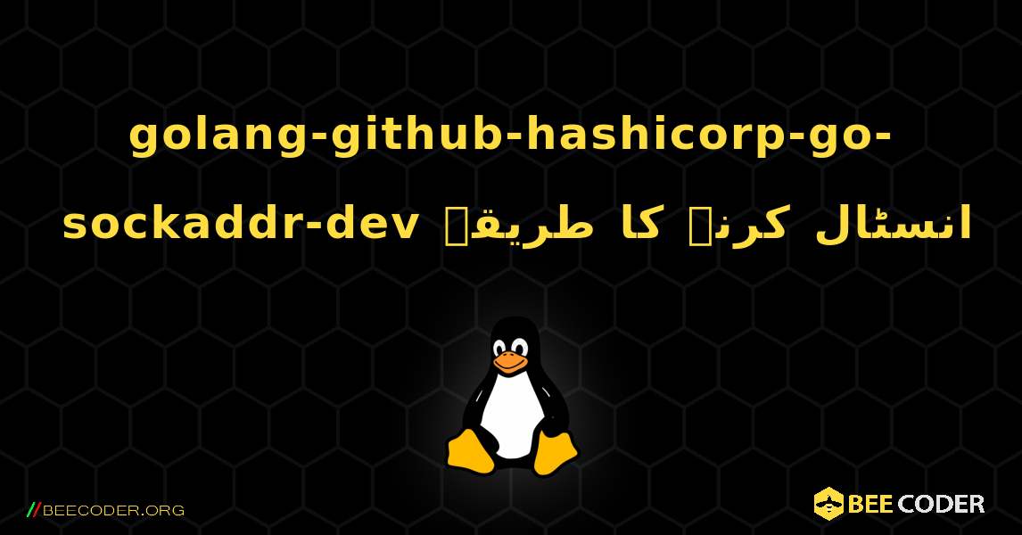 golang-github-hashicorp-go-sockaddr-dev  انسٹال کرنے کا طریقہ. Linux