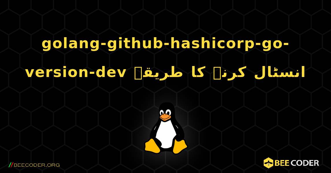 golang-github-hashicorp-go-version-dev  انسٹال کرنے کا طریقہ. Linux