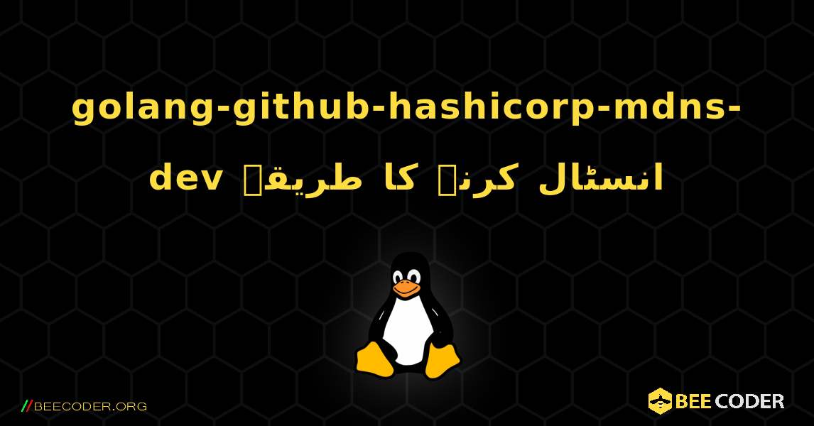 golang-github-hashicorp-mdns-dev  انسٹال کرنے کا طریقہ. Linux