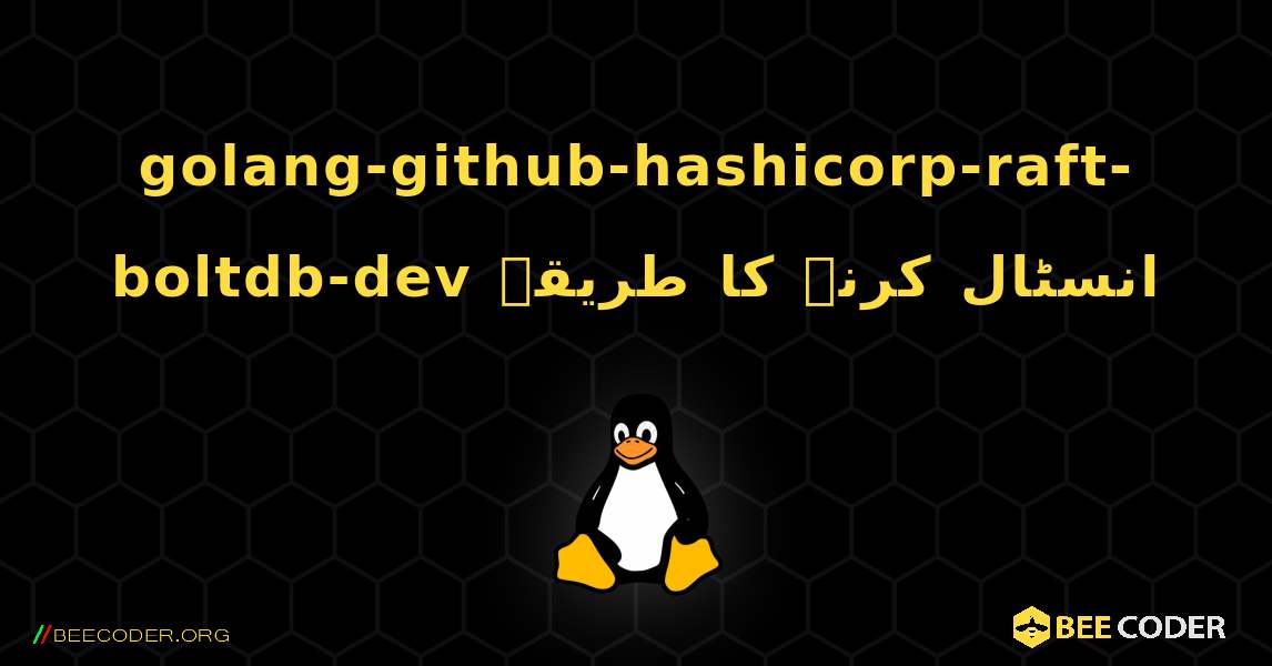 golang-github-hashicorp-raft-boltdb-dev  انسٹال کرنے کا طریقہ. Linux