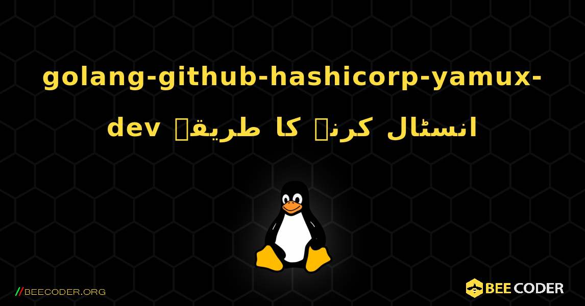 golang-github-hashicorp-yamux-dev  انسٹال کرنے کا طریقہ. Linux