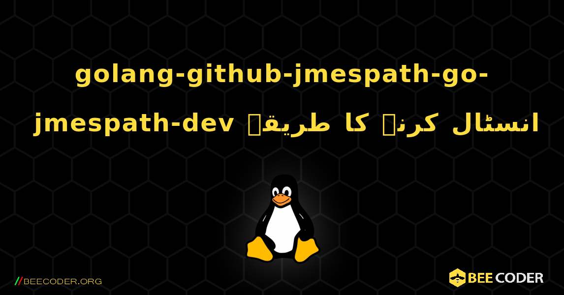 golang-github-jmespath-go-jmespath-dev  انسٹال کرنے کا طریقہ. Linux