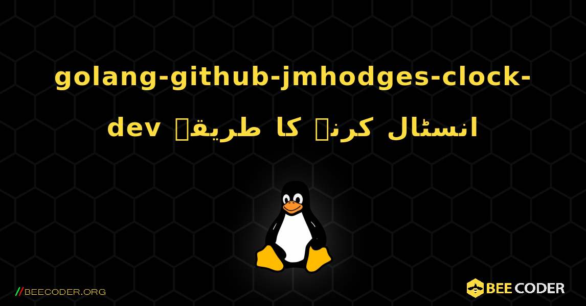 golang-github-jmhodges-clock-dev  انسٹال کرنے کا طریقہ. Linux
