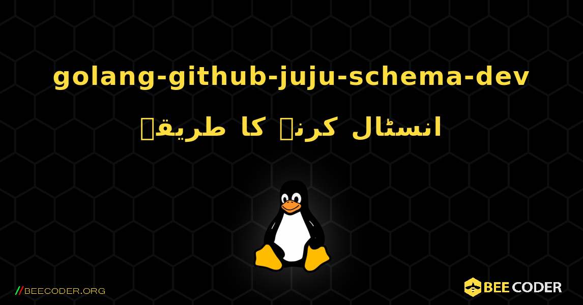 golang-github-juju-schema-dev  انسٹال کرنے کا طریقہ. Linux