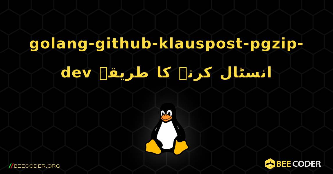 golang-github-klauspost-pgzip-dev  انسٹال کرنے کا طریقہ. Linux