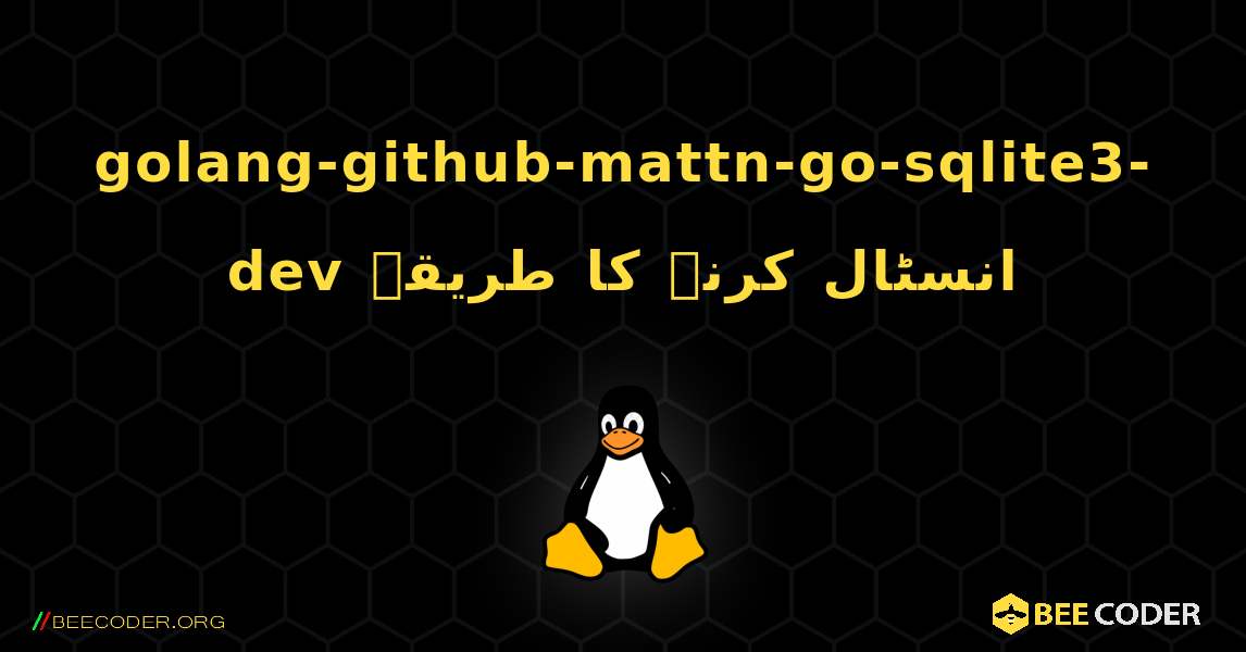 golang-github-mattn-go-sqlite3-dev  انسٹال کرنے کا طریقہ. Linux