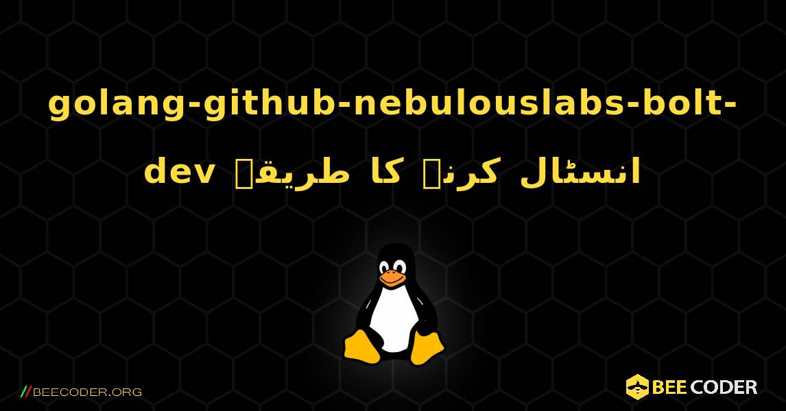 golang-github-nebulouslabs-bolt-dev  انسٹال کرنے کا طریقہ. Linux