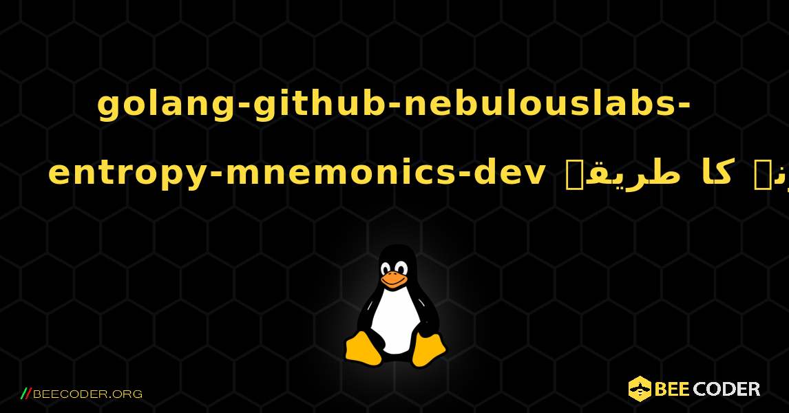 golang-github-nebulouslabs-entropy-mnemonics-dev  انسٹال کرنے کا طریقہ. Linux
