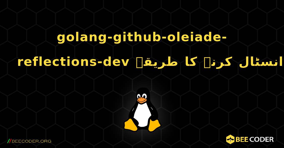 golang-github-oleiade-reflections-dev  انسٹال کرنے کا طریقہ. Linux