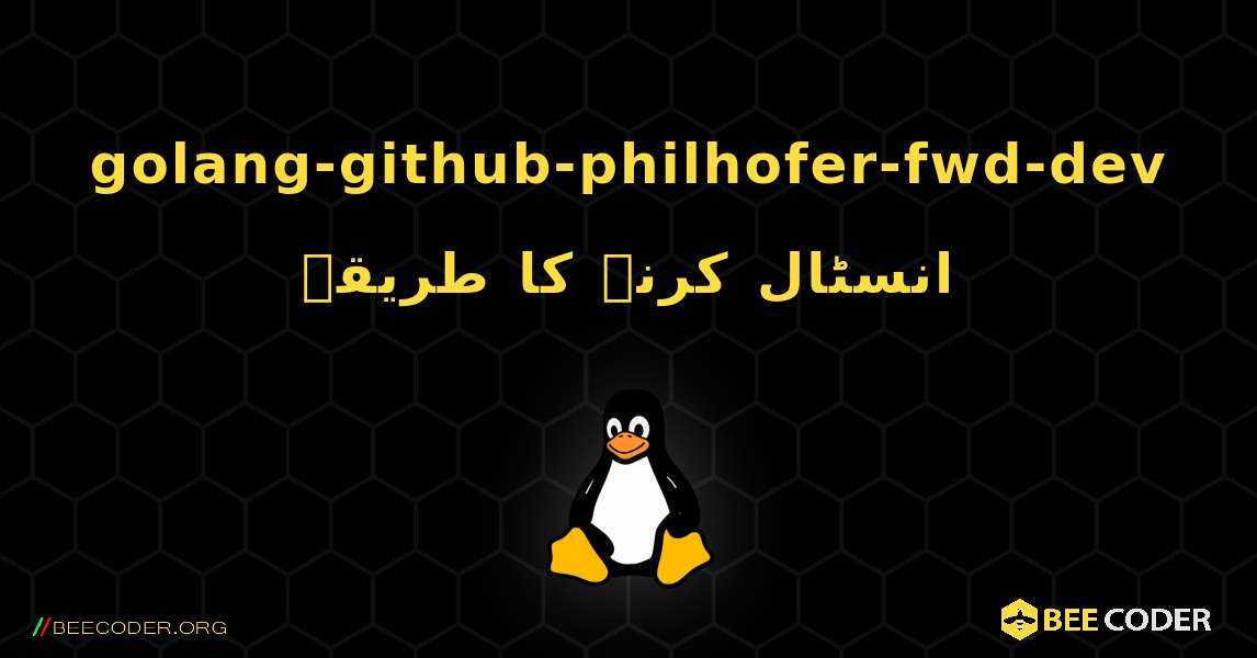 golang-github-philhofer-fwd-dev  انسٹال کرنے کا طریقہ. Linux