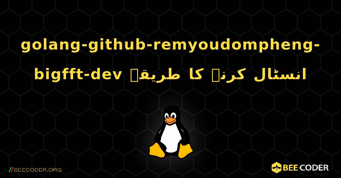 golang-github-remyoudompheng-bigfft-dev  انسٹال کرنے کا طریقہ. Linux