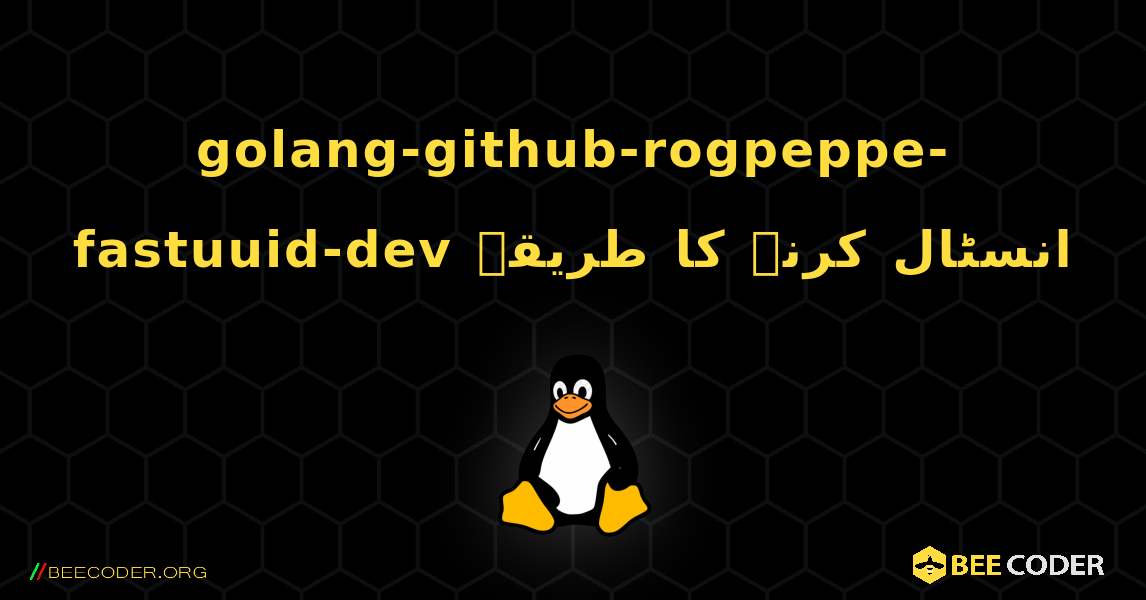 golang-github-rogpeppe-fastuuid-dev  انسٹال کرنے کا طریقہ. Linux